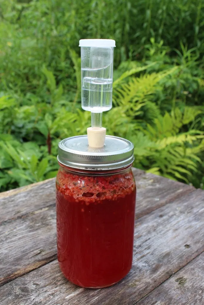 image-897755-Micro-Batch-Raspberry-Mead-Fermenting-e4da3.jpg